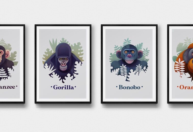 Great Apes