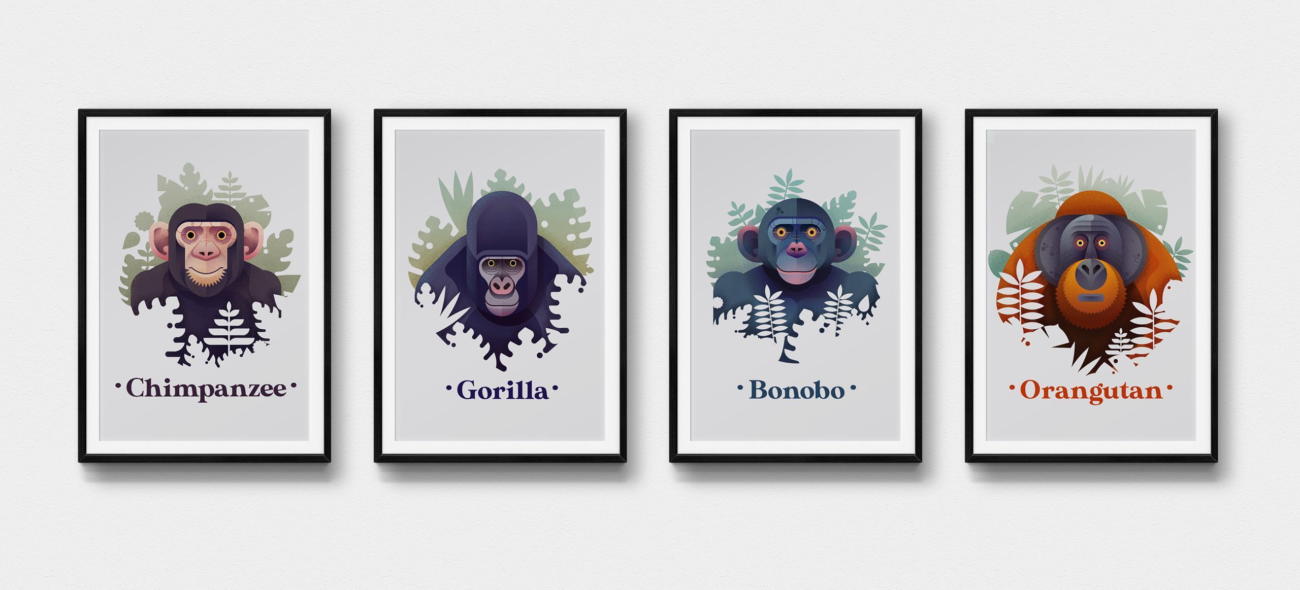 Great Apes