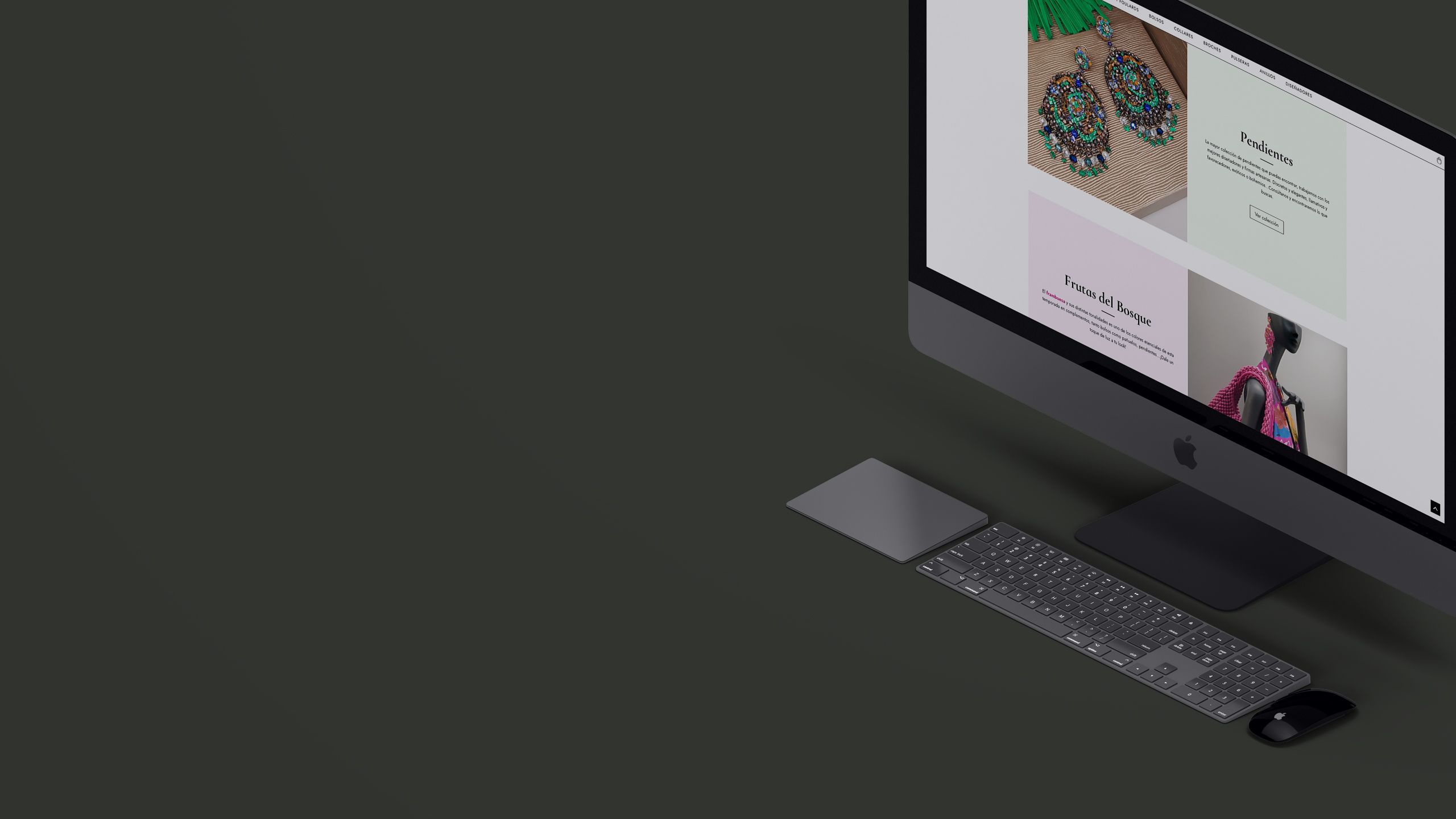 header_web_sanci