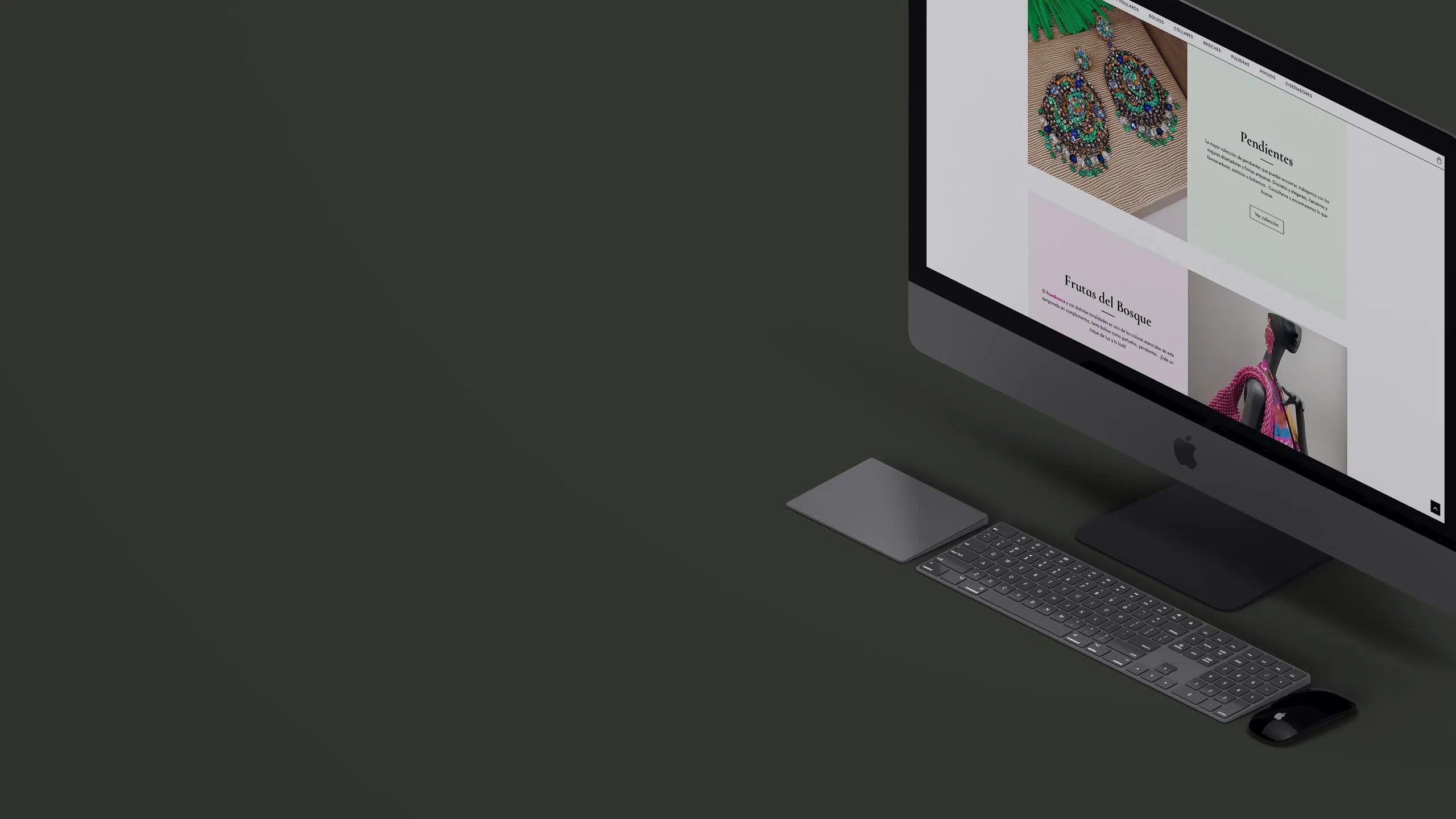 header_web_sanci