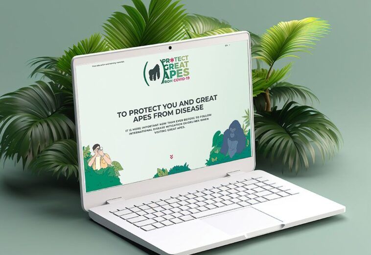 Protect Great Apes
