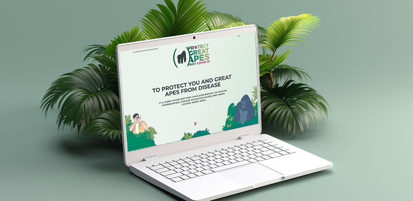 Protect Great Apes