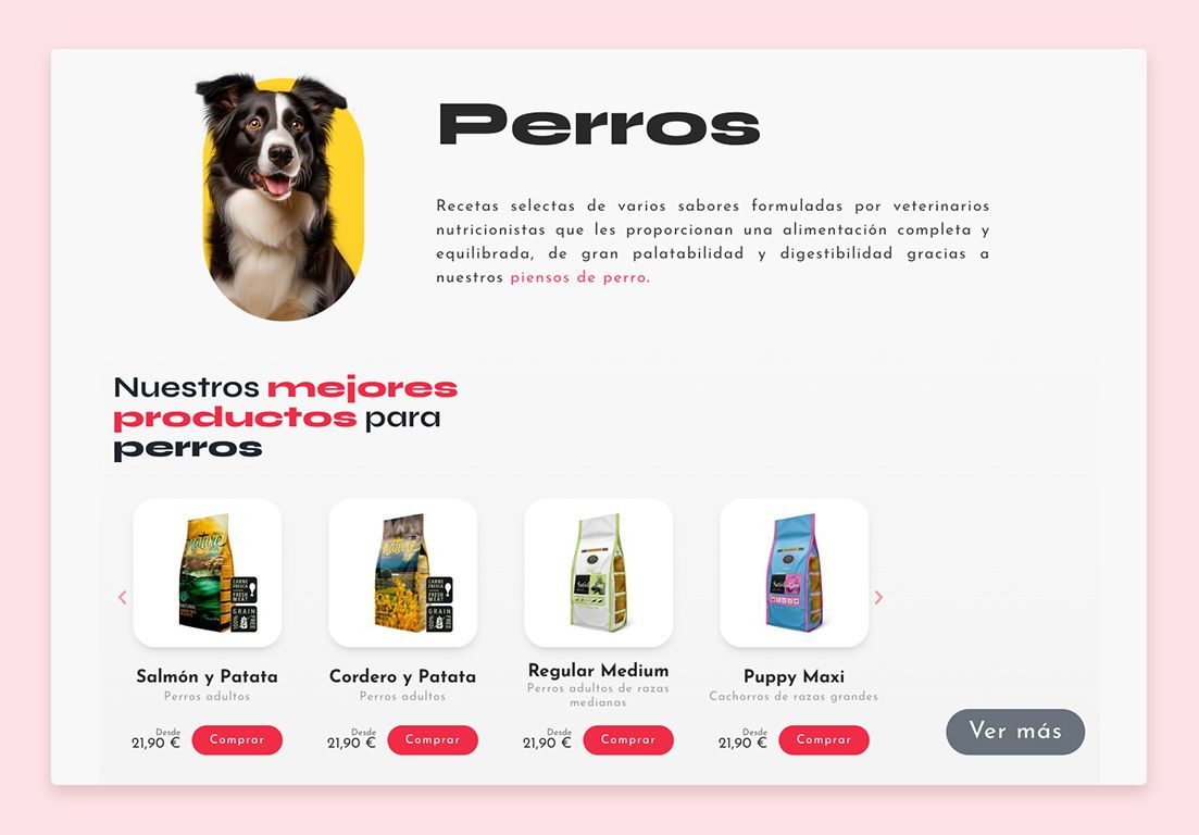 desarrollo tienda online satisfaction productos destacados