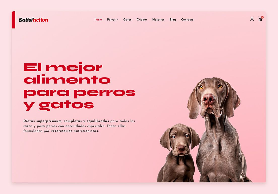 desarrollo tienda virtual satis home