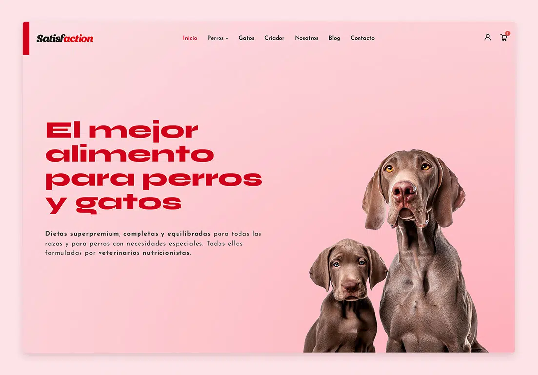 desarrollo tienda virtual satis home